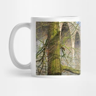 Almondell Viaduct Mug